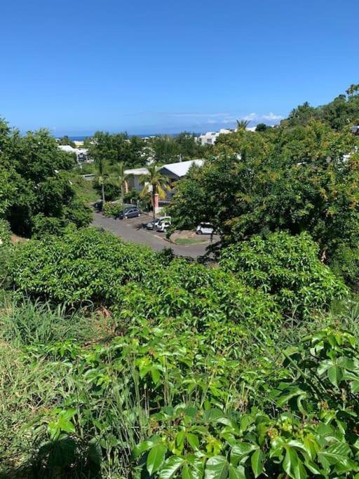 Petit Prix Et Grand Confort A Saint Gilles Les Bains Zewnętrze zdjęcie